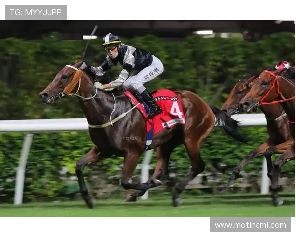 乐竞体育app官方下载2026最新版免费下载指南与详细操作流程